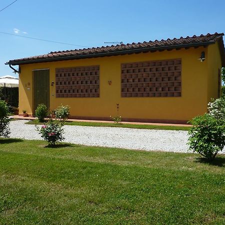 Il Nido Villa Lucca Dış mekan fotoğraf