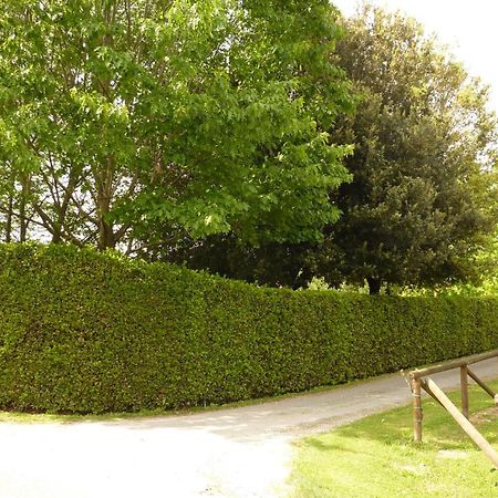 Il Nido Villa Lucca Dış mekan fotoğraf