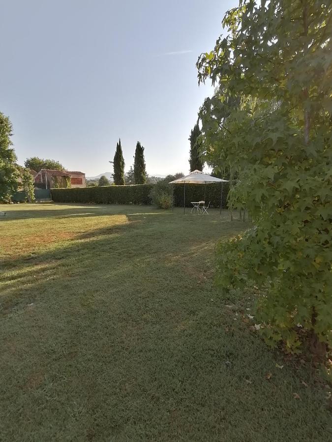 Il Nido Villa Lucca Dış mekan fotoğraf