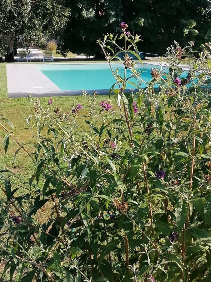 Il Nido Villa Lucca Dış mekan fotoğraf