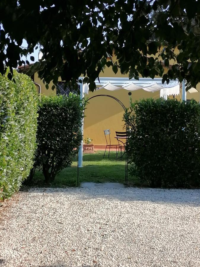 Il Nido Villa Lucca Dış mekan fotoğraf