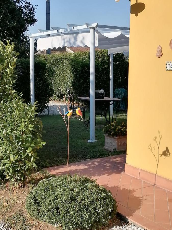 Il Nido Villa Lucca Dış mekan fotoğraf
