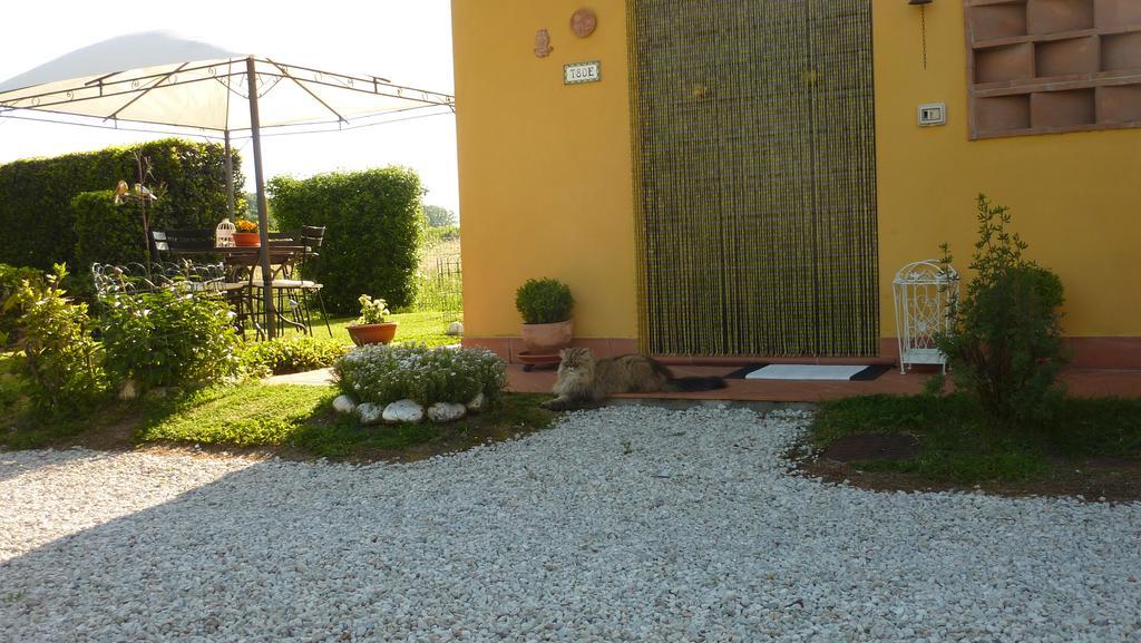 Il Nido Villa Lucca Dış mekan fotoğraf