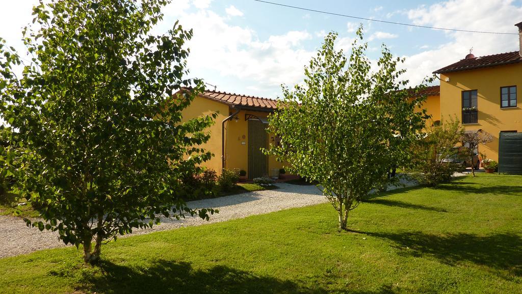 Il Nido Villa Lucca Dış mekan fotoğraf