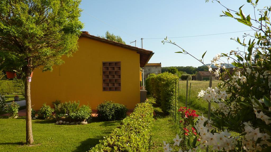 Il Nido Villa Lucca Dış mekan fotoğraf