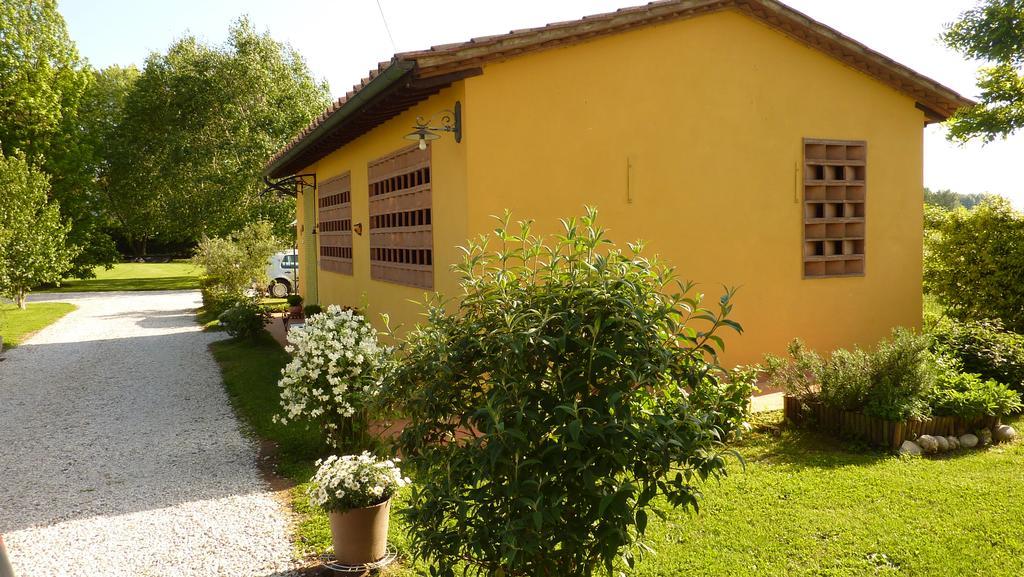 Il Nido Villa Lucca Dış mekan fotoğraf